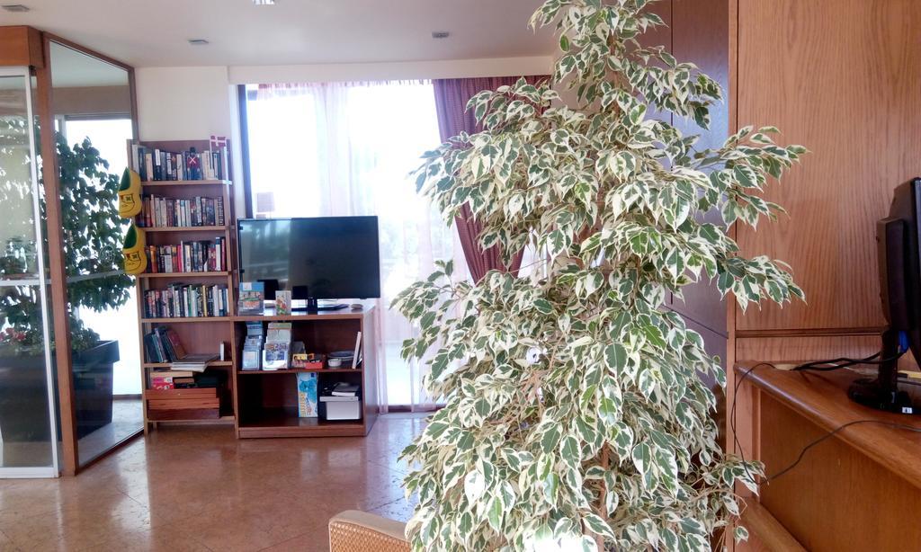 Eria Resort For People With Special Abilities Μάλεμε Εξωτερικό φωτογραφία