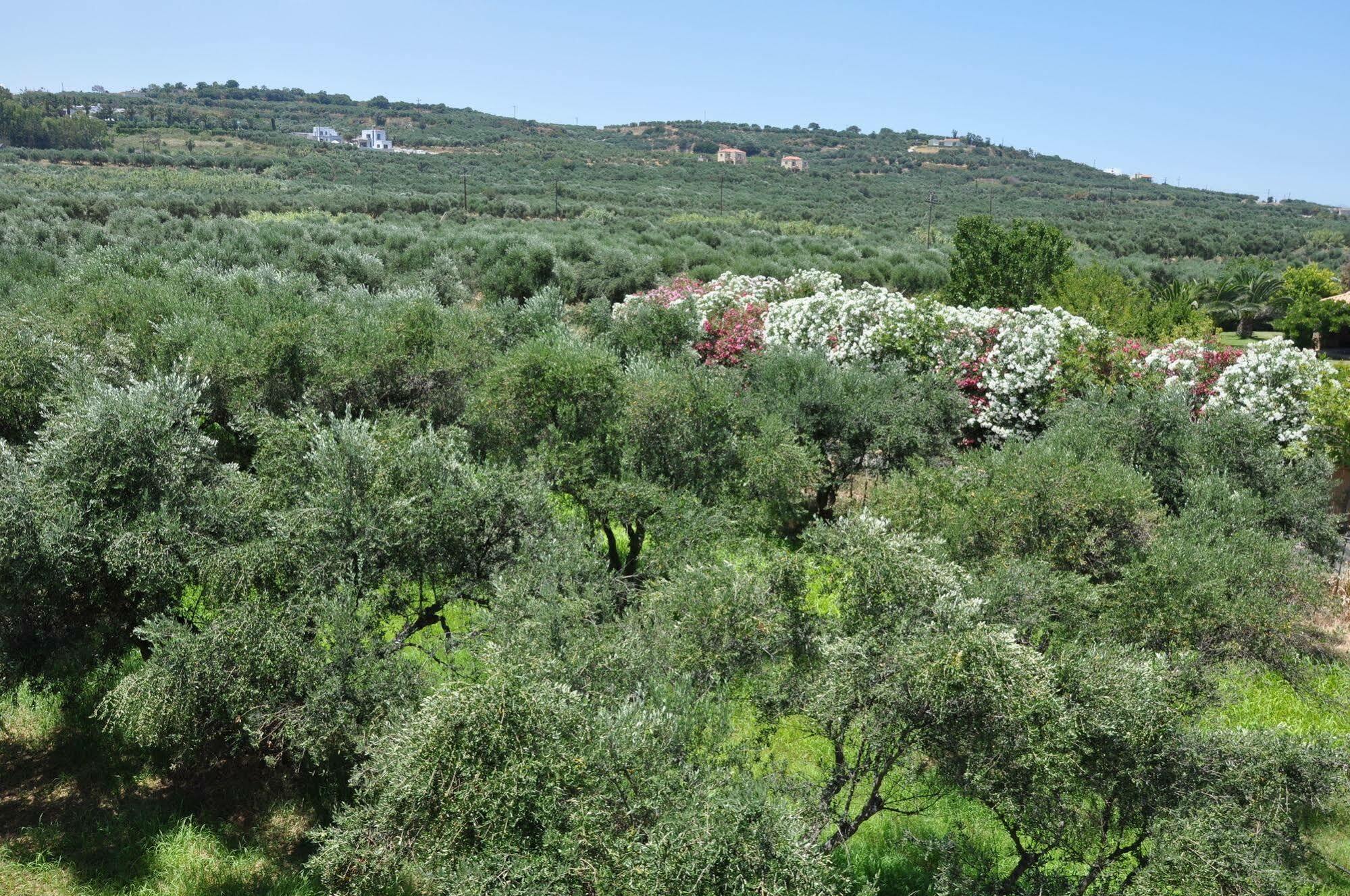 Eria Resort For People With Special Abilities Μάλεμε Εξωτερικό φωτογραφία